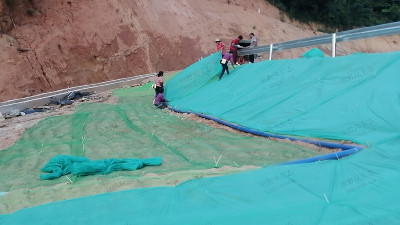 新豐縣遙田鎮維新至丹桂山旅游公路邊坡綠化工程