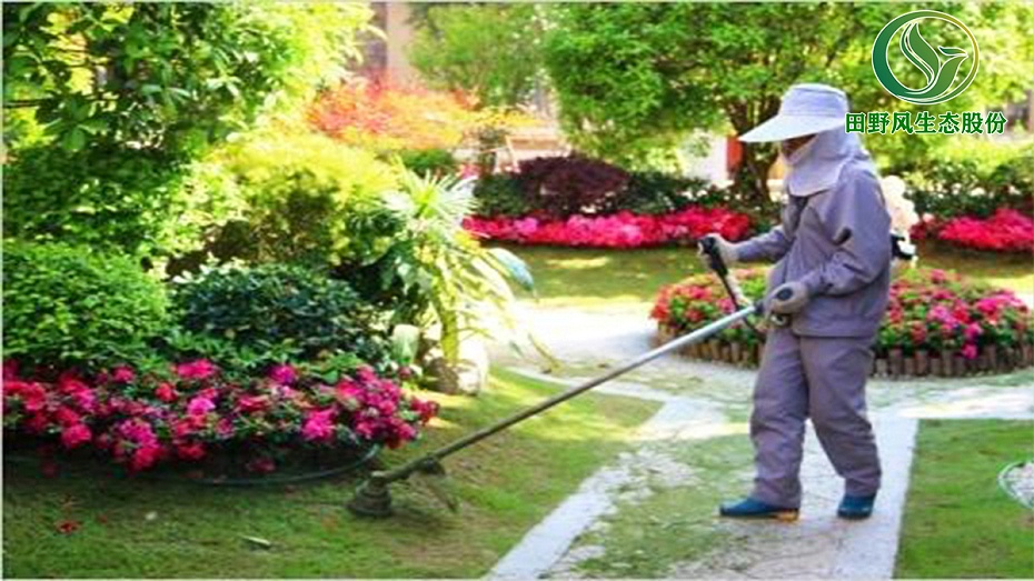 小區草地修剪,草地修剪養護