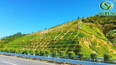 護(hù)坡綠化種草,綠化噴播機