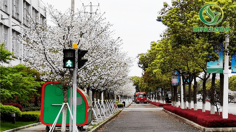 道路綠化,市政綠化