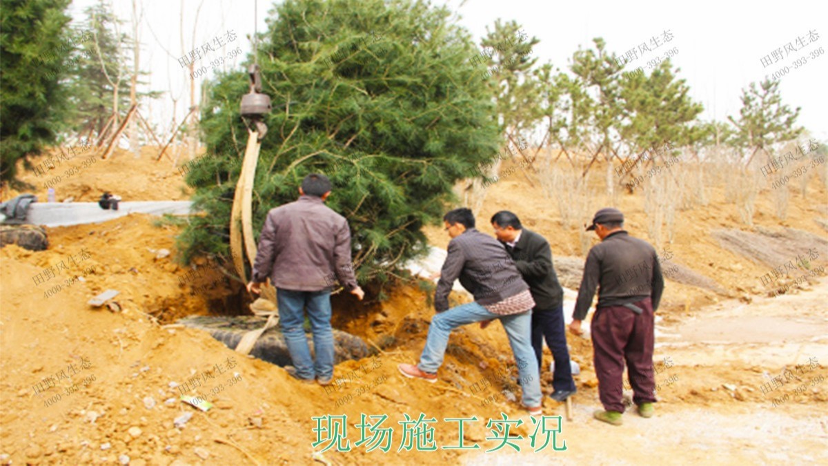 仁化縣董塘河道生態治理工程