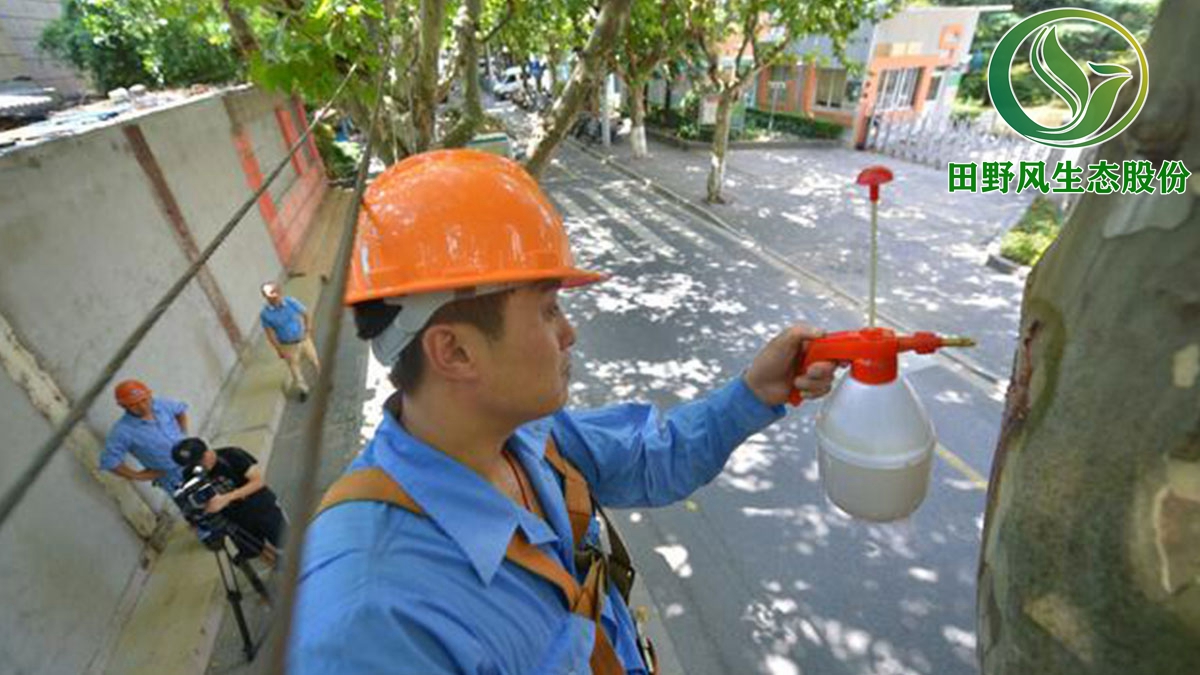 廣州市白云區綠化養護,園林綠化