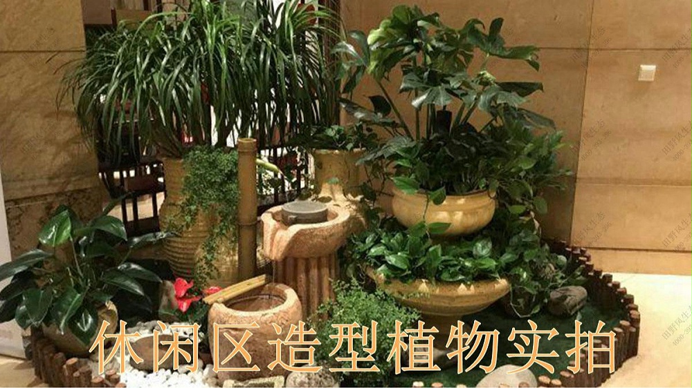 廣州國際金融中心室內(nèi)花卉租賃案例