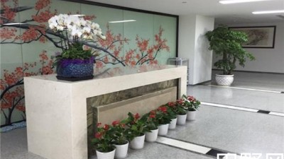 辦公室綠植租擺價格一般要多少？