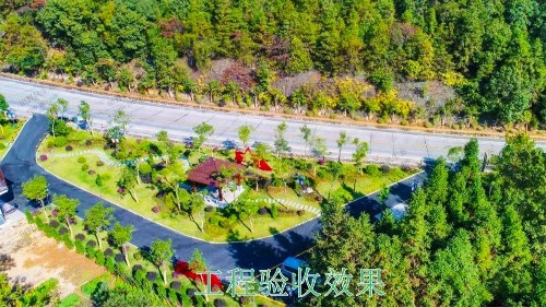 江門逢江區園林景觀花卉園林綠化