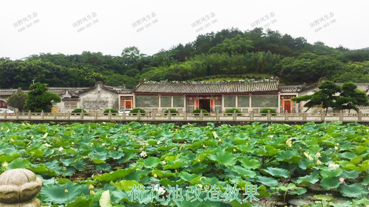 潮州市美麗鄉村工程項目