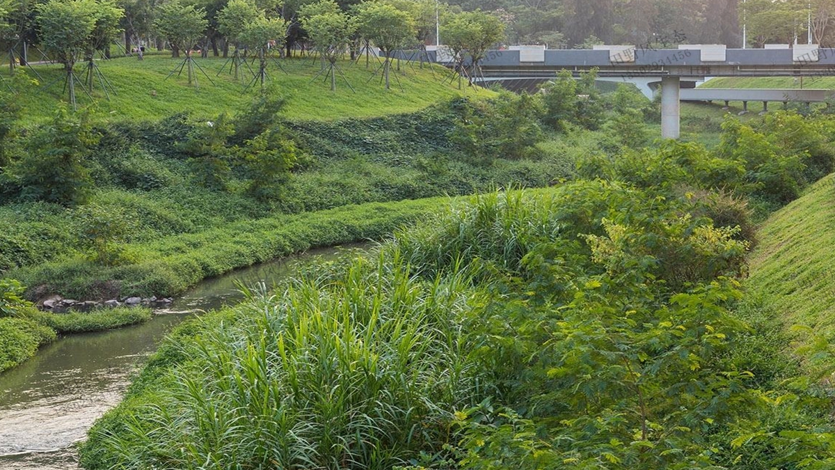 河道生態護坡綠化