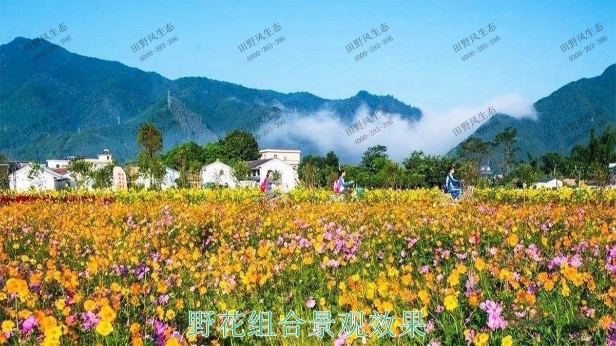 江西贛州美麗鄉村景觀工程