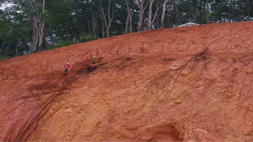 濟廣高速平遠段高速公路邊坡復綠工程