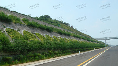 邊坡綠化對(duì)植物的選擇原則，有哪些植物推薦？