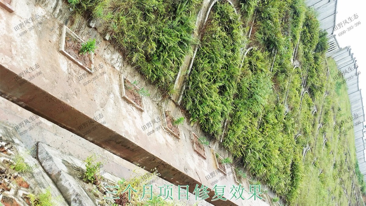 珠三角環線輕鐵路邊坡復綠工程