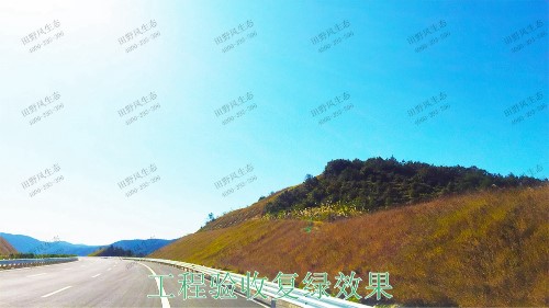 梅龍高速梅州段道路邊坡植草工程