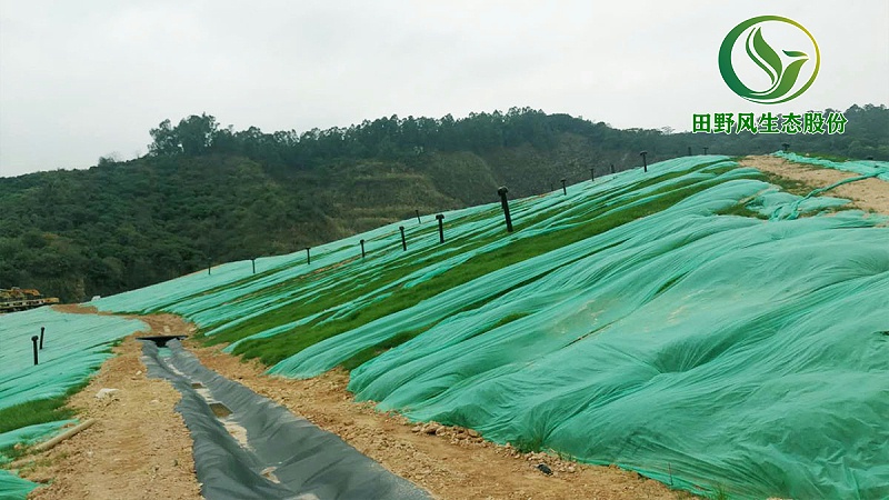 邊坡綠化,生態復綠