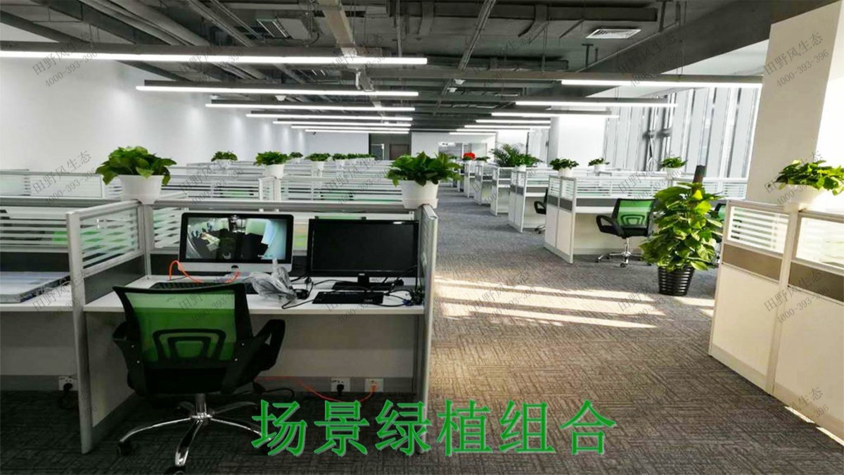 廣州市創佳建筑模型公司綠植展示