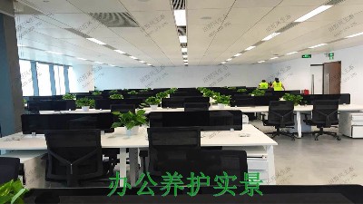 廣州市創(chuàng)佳建筑模型公司綠植展示